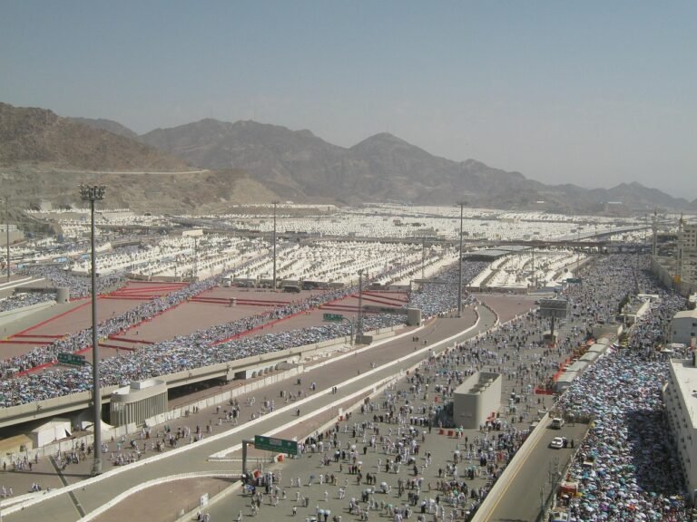Pilgrims boarding organised buses near Mina during the days of Hajj