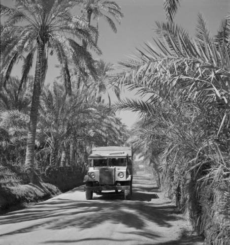 Connecting Flights Through Jeddah: Getting Your Transport Booking Right